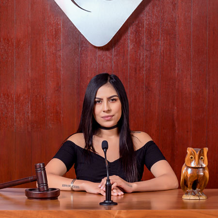 licenciatura en derecho